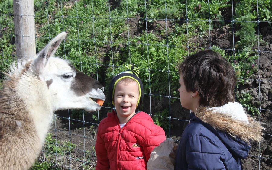 Elefántok, állatsimogató, cirkuszi artisták és vidámpark a Győr melletti Kimba Elefánt Parkban!