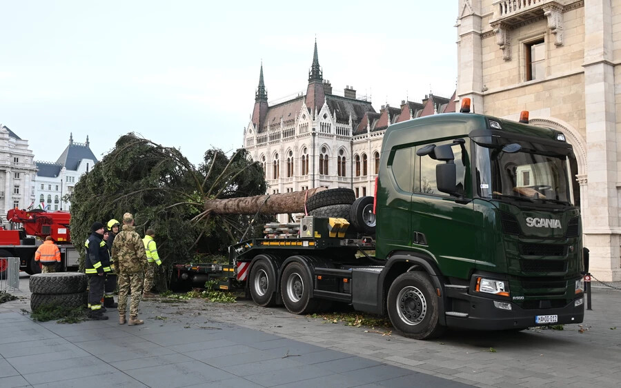 FOTÓK: Felállították Magyarország karácsonyfáját