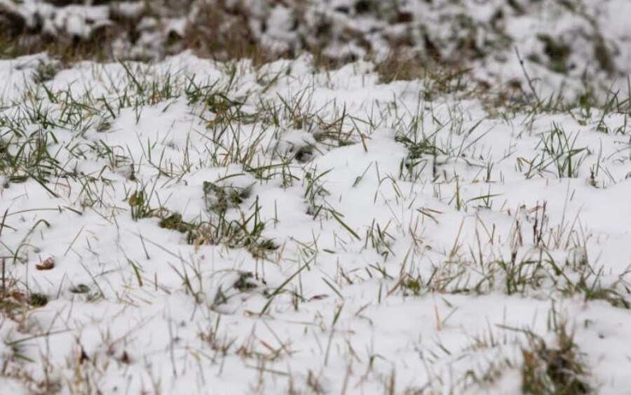 Szlovákiában erőteljes lehűlés várható - közölték az iMeteo portál meteorológusai. A szakértők szerint a következő időszakban egy hideghullám érkezik térségünkben, amely miatt napközben fagyni fog, valamint hózáporokat is láthatunk.