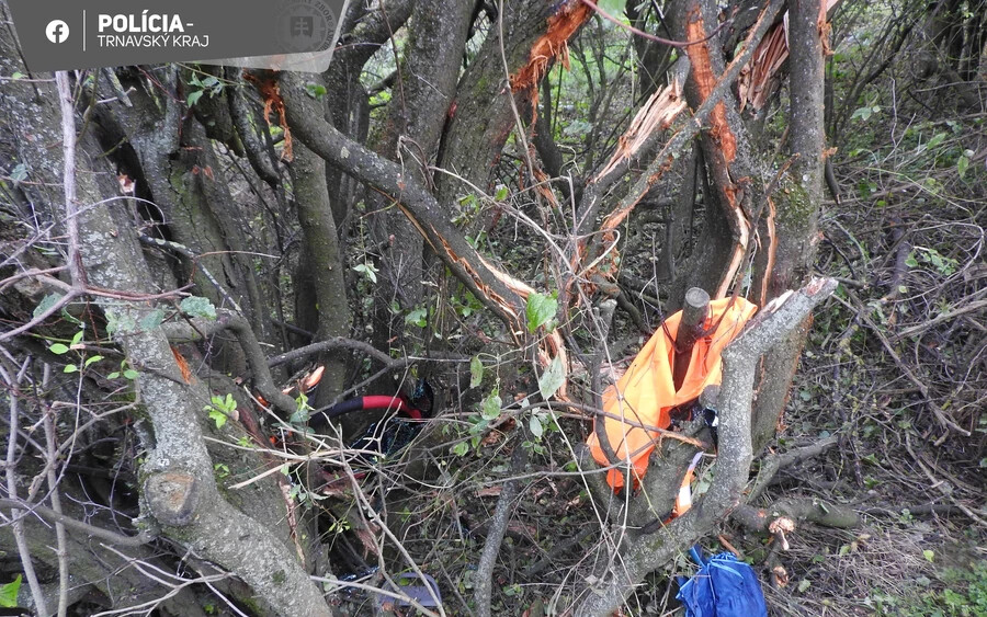 ÓRIÁSI BALESET: Megcsúszott az úton, majd nyílegyenesen fának ütközött egy férfi (FOTÓK)
