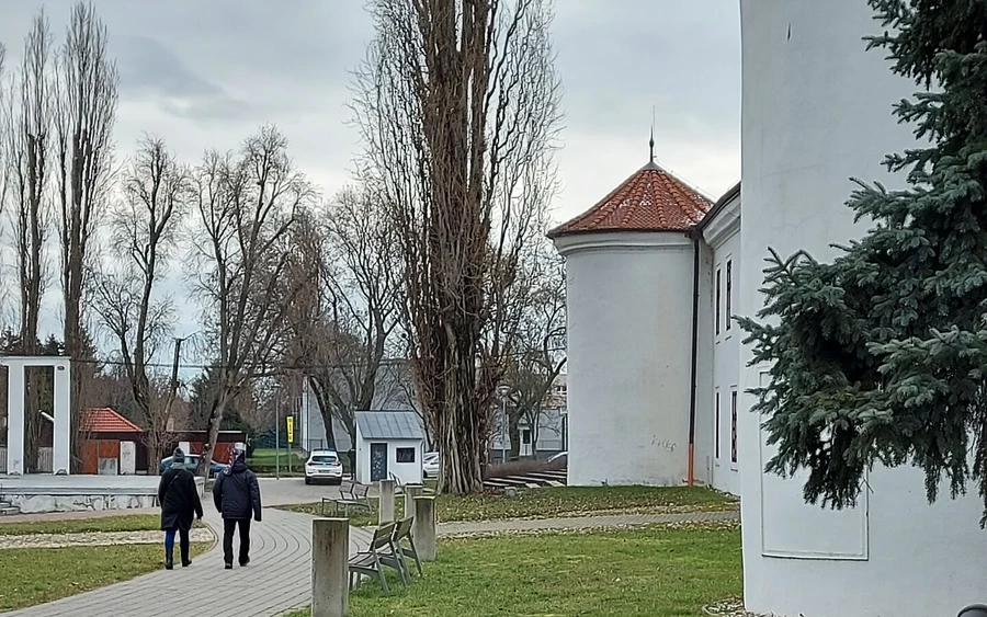 Vágsellyén egyelőre alacsony a részvétel