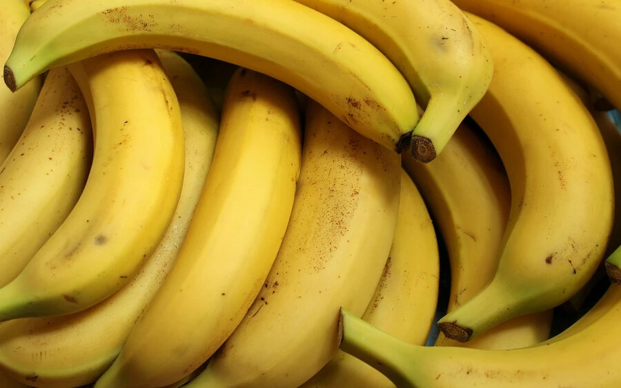 A banán ráadásul nagyon érzékeny a klímaváltozásra, egyes területeken már a penész terjedéséhez és a termés megsemmisüléséhez vezet. Mindez pedig a banán árának növekedését is eredményezi. 