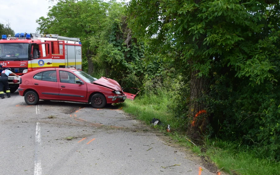 Fának hajtott egy 19 éves lány, mentőhelikopterrel szállították kórházba