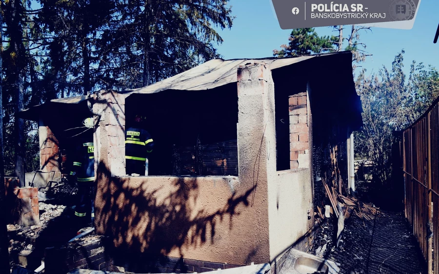 Borzalmas körülmények között tartották az állatokat a leégett menhelyen (FOTÓK)