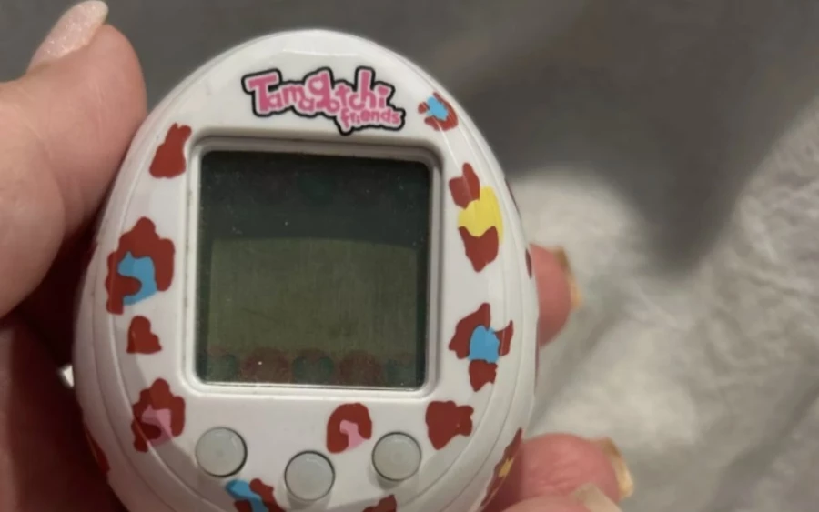 A Tamagotchi egy  elektronikus háziállat volt, amelyet a gyerekeknek kellett etetniük és gondozniuk. Egy eredeti csomagolású Tamagotchi értéke több száz euróra rúghat, átalában 76 és 340 euró közötti áron kerülnek forgalomba. A P1 néven ismert eredeti változat 2280 euróért is elkelhet.