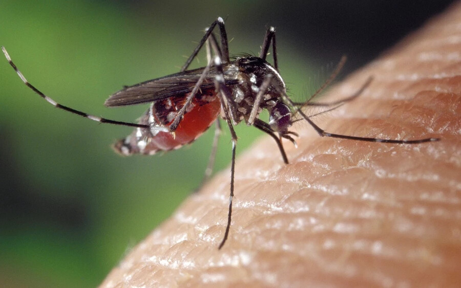 Az antibiotikumok azonban rendkívül agresszívan reagáltak a gyógyszerekre, amelyeket a nő már régóta szedett - számolt be a Metro. A nő dolgozni sem tudott a fájdalom miatt, tíz hét szabadságra kellett mennie, de a mai napig hegek borítják az egész alsó lábszárát. A haja kihulott, a körmei lepotyogtak és a bőre is lehámlott.