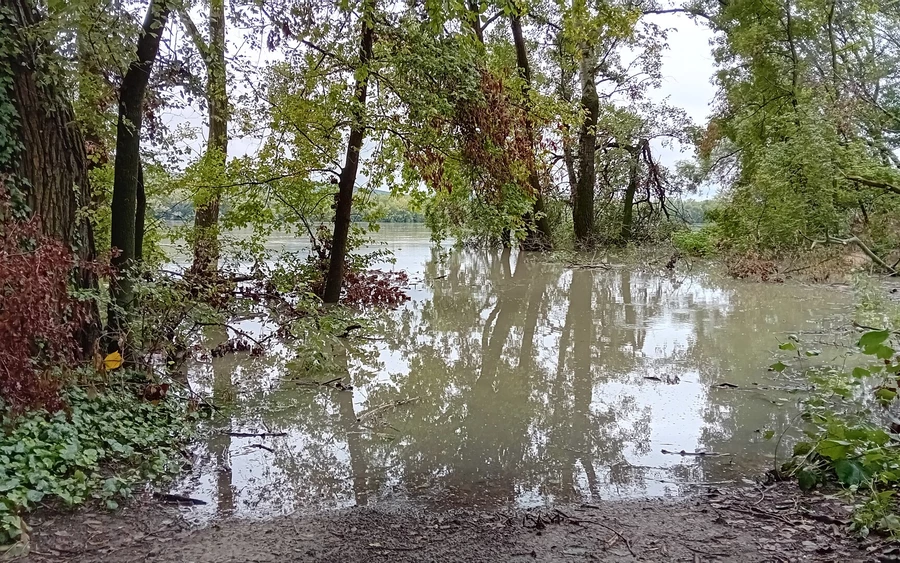 A Karva és Dunamocs közti ártér (fotó: Vataščin Péter)