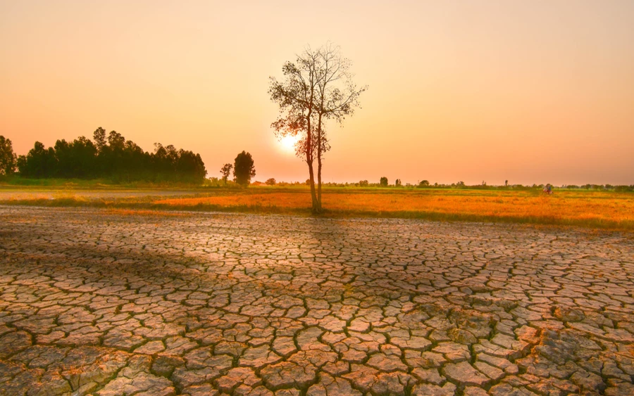 Az előrejelzések szerint az óceánok felszíni hőmérséklete idén akár 3 Celsius-fokkal is meghaladhatja az átlagot, ami erősebb lehet, mint a 19. század végén mért értékek. Deepti Singh amerikai klímakutató szerint a mai helyzet azért is veszélyesebb, mert a Föld légköre és óceánjai eleve melegebb állapotban vannak, mint másfél évszázaddal ezelőtt. Emiatt az aszályok, hőhullámok és extrém csapadékesemények is jóval intenzívebbé válhatnak.