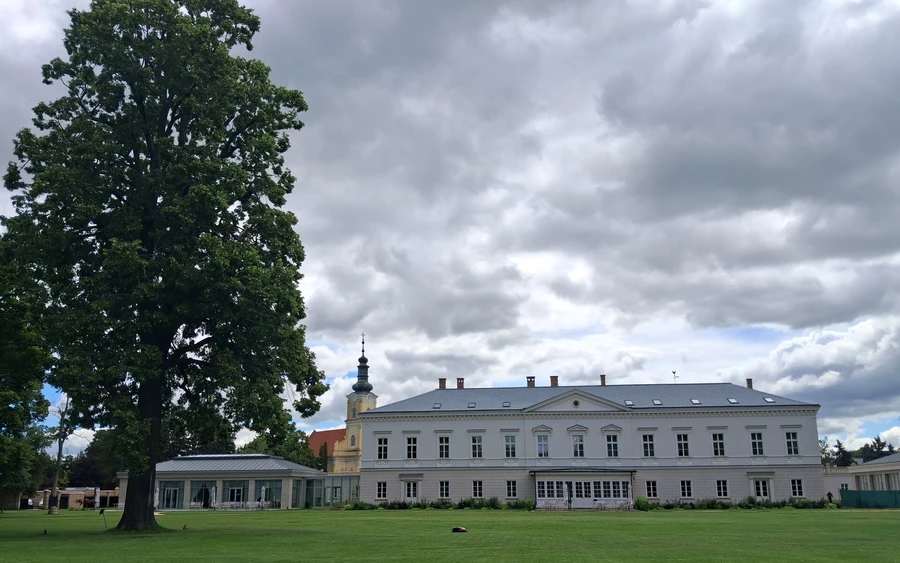A parkban különféle rendezvényeket tartanak