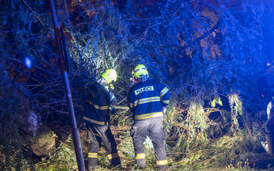 Útra dőlt fák, leszaggatott ágak – rengeteg dolguk volt a tűzoltóknak a vihar után