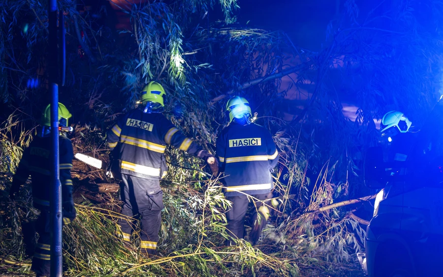 Útra dőlt fák, leszaggatott ágak – rengeteg dolguk volt a tűzoltóknak a vihar után