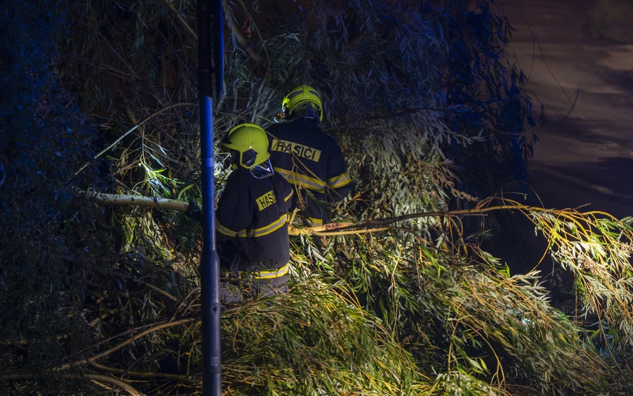 Útra dőlt fák, leszaggatott ágak – rengeteg dolguk volt a tűzoltóknak a vihar után