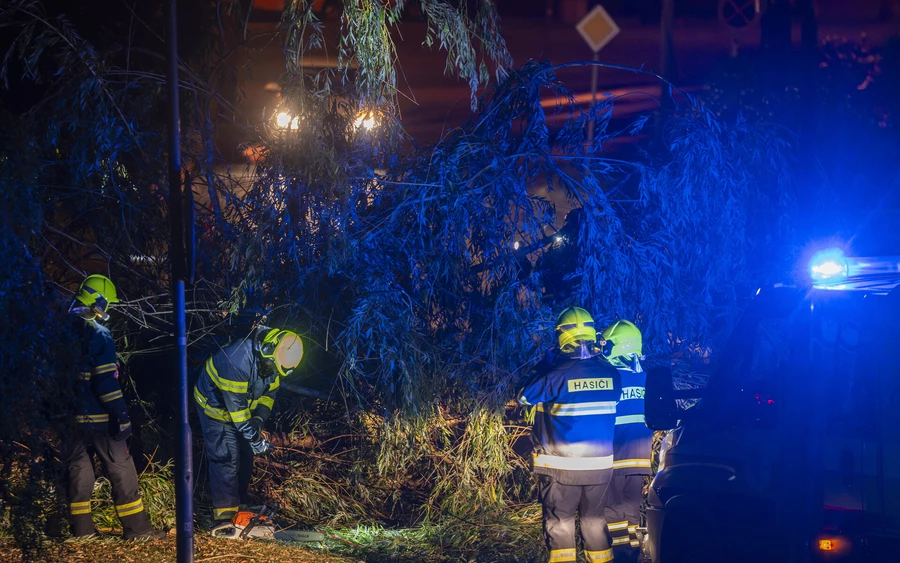 Útra dőlt fák, leszaggatott ágak – rengeteg dolguk volt a tűzoltóknak a vihar után
