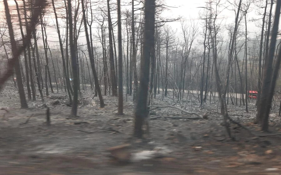 Közölték, hogy a helyzet súlyos, a füst több kilométerre a céltól megállította őket.