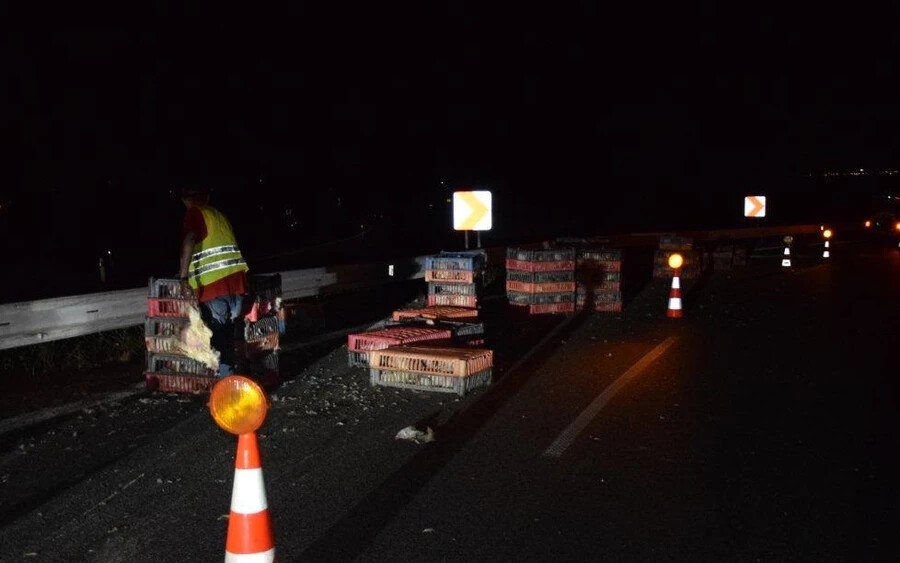 Csirkeriadó az autópályán: több száz baromfi szórodott az úttestre egy kamionból (FOTÓK)
