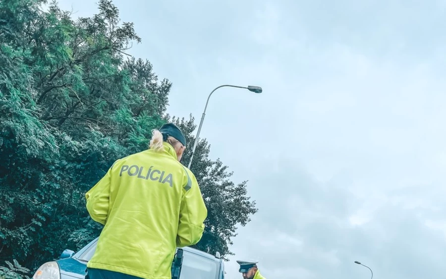  Danica Caisová pszichiáter közölte, hogy a vizsgálatnak arra kell rámutatnia, az illetőnél gyakori vagy alkalmi alkoholfogyasztásról van-e szó. Hasonló módon járnak el más függőséget okozó szer esetében is. Ha egy járművezető két évre vagy annál hosszabb időre elveszíti a jogosítványát, egészségügyi, pszichikai és szakmai alkalmassági vizsgálatnak kell alávetnie magát. 