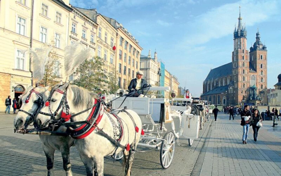  Lengyelországban nem szükséges a negatív teszt vagy a Covid-útlevél felmutatása, de a szállodáknak lehetnek egyéni feltételeik ezzel kapcsolatban. December 15-től továbbá a lengyel kormány az éttermek, szállodák és mozik kapacitását 50 százalékról 30 százalékra csökkentette. A diszkók és szórakozóhelyek szilveszterre kinyithatnak, de a látogatók számát száz főre korlátozzák, és szigorú higiéniai szabályokat kell követniük. 