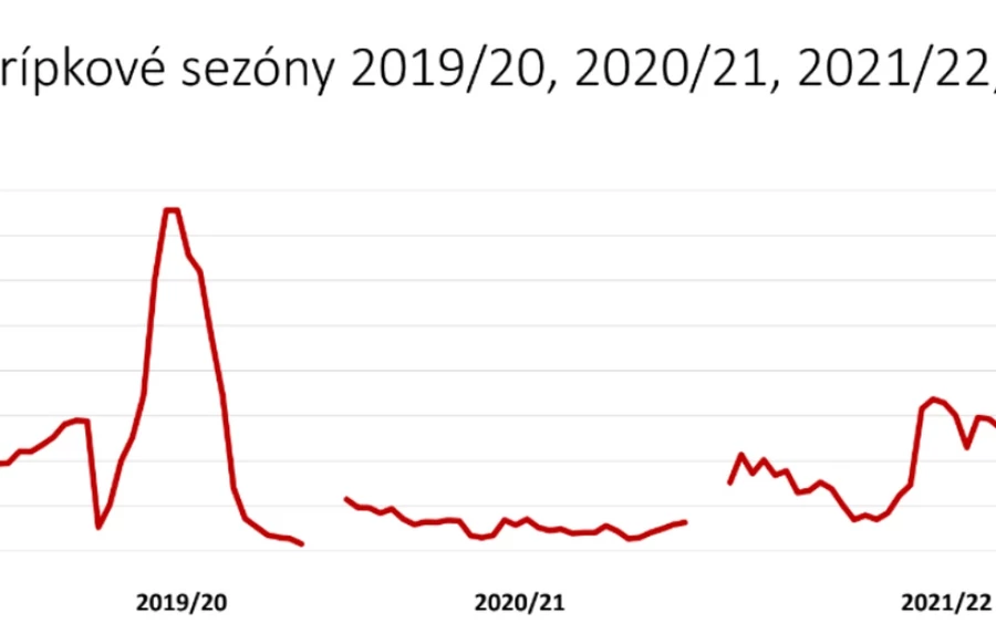 Sokan nem veszik tudomásul, hogy az influenza akár halállal is végződhet, és ezt a légúti betegséget alábecsülik. Az influenza elleni legjobb védelmet a védőoltás jelenti. 