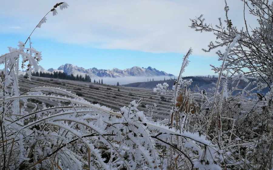  Az előrejelzés nem fog tetszeni a síelőknek és a hó szerelmeseinek. A csapadék, legyen az hó vagy eső, nagyobb valószínűséggel a Földközi-tenger térségében és Észak-Európában fog leesni.