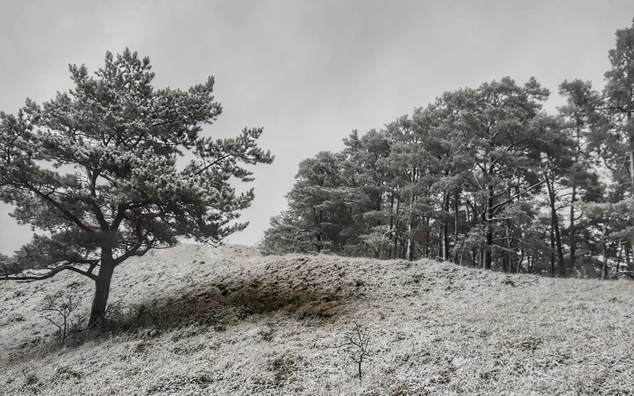 A meteorológusok már tudják, hogyan befolyásolja majd a téli időjárást a La Niña jelenség. Először azt gondolták, hogy fel fog bomlani, de egy új modell szerint egész télen a Csendes-óceánon marad.