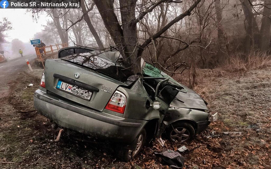 TRAGÉDIA: Szörnyethalt egy sofőr, miután lecsúszott az útról, és fának ütközött