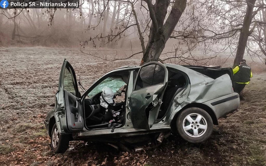 TRAGÉDIA: Szörnyethalt egy sofőr, miután lecsúszott az útról, és fának ütközött