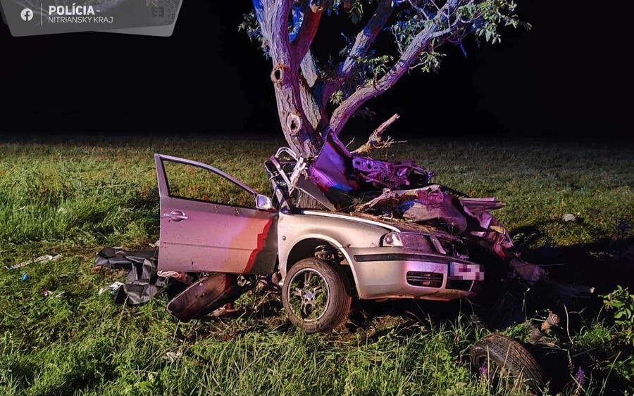 A baleset során a Škoda Octavia sofőrje és 22 éves utastársa életüket vesztették. 