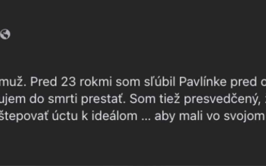 „HETERÓ VAGYOK” – kezdte a bejegyzést Matovič. „Férfi vagyok, és férfinek is érzem magam. Pavlínkának 23 éve az oltár előtt hűséget fogadtam, az ígéretemet betartom, és a halálomig így fogok tenni. Továbbá meggyőződésem, hogy a gyerekeket már fiatal koruktól kezdve a családban és az iskolában is az ideálok tiszteletére kell nevelni, hogy legyen iránytű az életükben. Elnézést” – tette hozzá. 