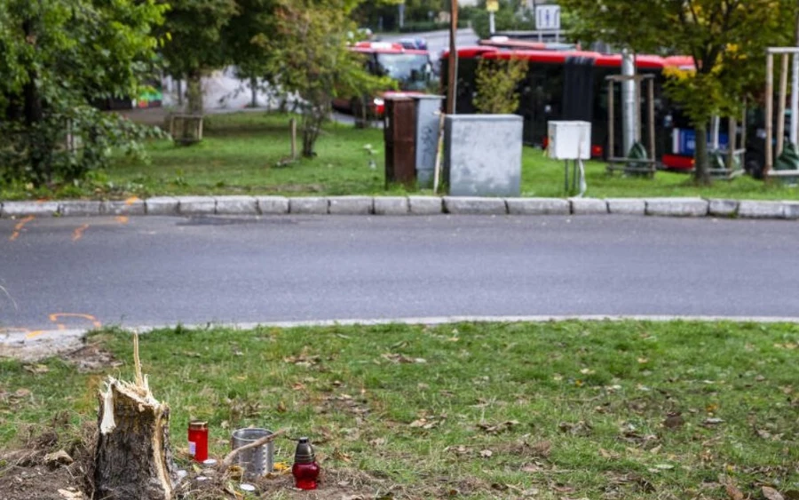 Néhány óra múlva pedig eltávolították a bizottság honlapjáról Dusan Dědeček főtitkár és fia, Lukáš Dědeček fényképeit és elérhetőségeit. Dušan Dědečeknek meglehetősen gazdag politikai múltja is van. 2014-ben a Smer, az SNS, a Strana zelených Slovenska és a Slobodné fórum pártok koalíciójának színeiben indult a pozsonyi Károlyfalu (Karlova Ves)  képviselőjelöltjeként. 