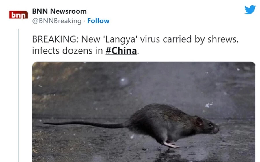 A tajvani járványügyi központ vasárnap bejelentette, hogy intézkedéseket hoz a vírus megfigyelésére. A Guardian megjegyezte, hogy a fertőző betegségek szakértői már régóta figyelmeztetnek arra, hogy az klímaválság növeli a vírusok állatokról emberre történő átvitelének kockázatát.