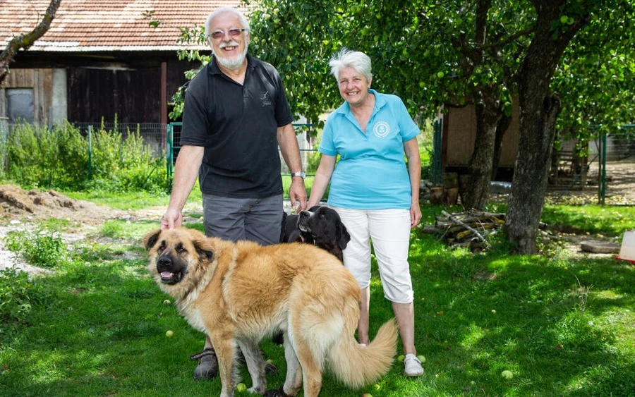 A medvék jelentette veszélyről egy házaspár számolt be a zivot.sk-nak. Körülbelül húsz évvel ezelőtt, amikor negyvenes éveikben jártak, Peter és Alžbeta Chovanec úgy döntött, hogy gyökeresen megváltoztatják életüket. Eladták a hetedik emeleti lakásukat Privigyén, és vettek egy házat Nyitrafőn. Elkezdtek juhokat, csirkéket, libákat, kacsákat, pulykákat tenyészteni... 