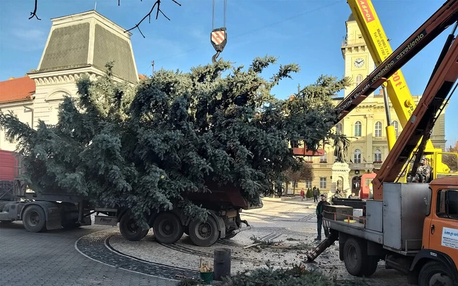 komárom karácsonyfa