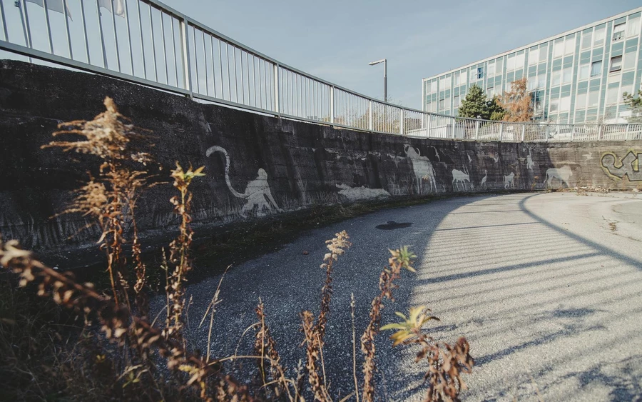 Egzotikus állatokkal teli oázis Kassán