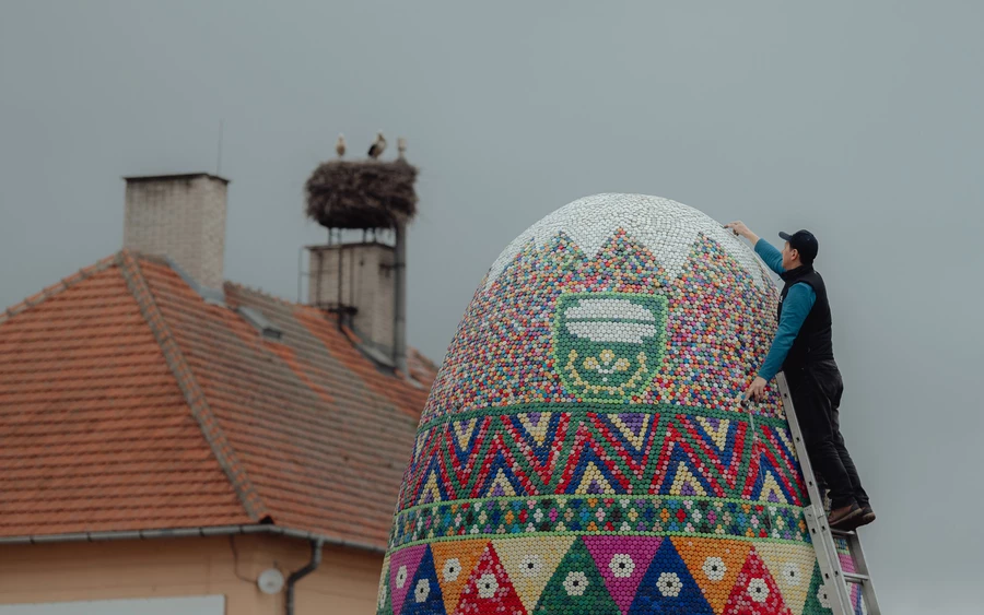 Az óriási hímes tojás ilyen formában a világ legnagyobbjának számít