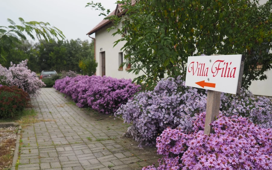 A tábor helyszíne a Villa Filia volt (A szerző felvétele)