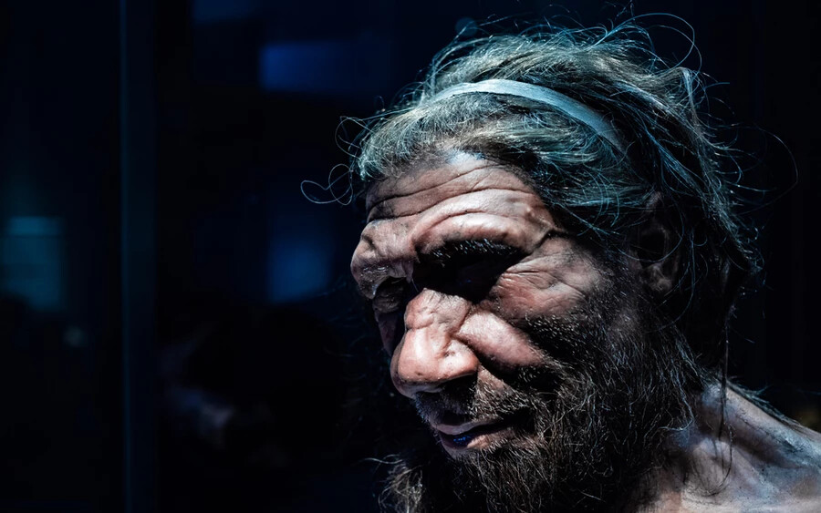 „Az elmúlt tizenöt évben, amikor a neandervölgyi genomot szekvenálták, megtudtuk, hogy közvetlen őseink valószínűleg keveredtek a neandervölgyiekkel, és ránk hagyták DNS-ük kis darabkáit” – mondta Kaustubh Adhikari, a tanulmány egyik szerzője a University College Londonból.