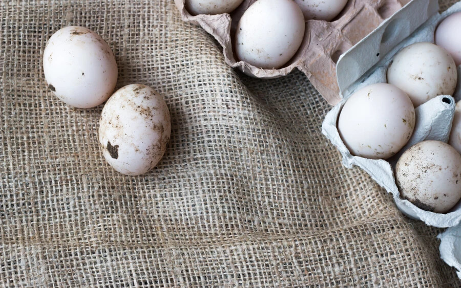 A nem megmosott tojásról, amennyiben tehetjük, víz nélkül, szárazon távolítsuk el a szennyeződéseket. Ha feltétlenül szükséges, csak közvetlenül a felhasználás előtt mossuk meg a tojást.