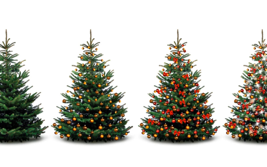 Tanácsuk szerint a fákat elég hűvös helyen tárolni, és karácsonyig nem lesz semmi bajuk. Akik szeretnének jövőre is élő fával rendelkezni, cserepes darabokat is választhatnak, amelyeket szintén hideg helyen tárolhatnak a következő ünnepekre. 