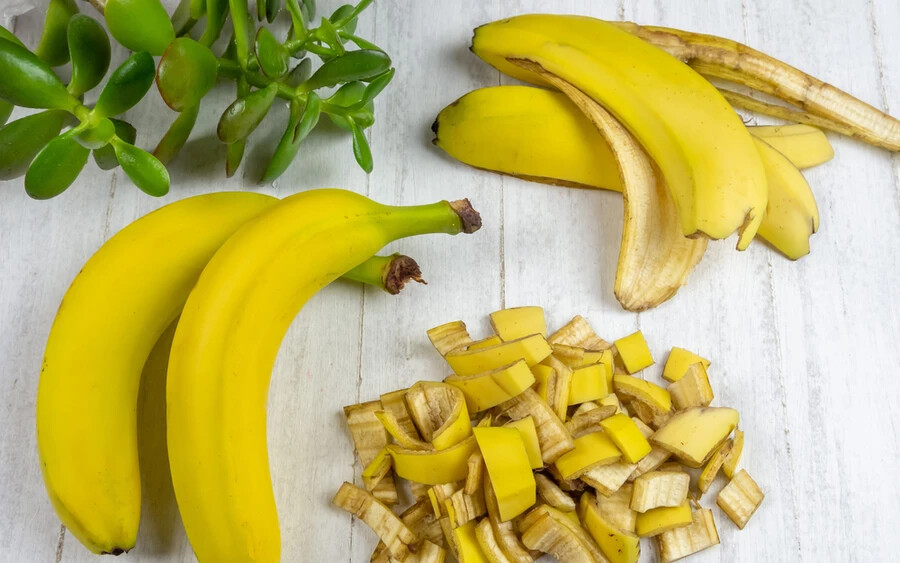 A banánhéj kálium-, kalcium-, és foszfortartalma miatt kiváló trágyaalapanyag a savkedvelő növények számára. A legegyszerűbb módja a banánnal való trágyázásnak, ha kisebb darabokra vágod, és nagyjából 10 cm mélyre ásod. Ideális esetben ezt még a növények elültetése előtt kéne megtenned.