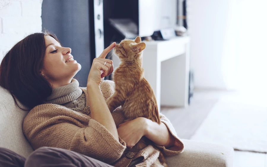 A királynő imádta corgi kutyáit, melyek a királyi családot ábrázoló fotókon is szerepelnek. A kutatások szerint a háziállatok tartása csökkenti a vérnyomást, a stresszt és az elhízás kockázatát.