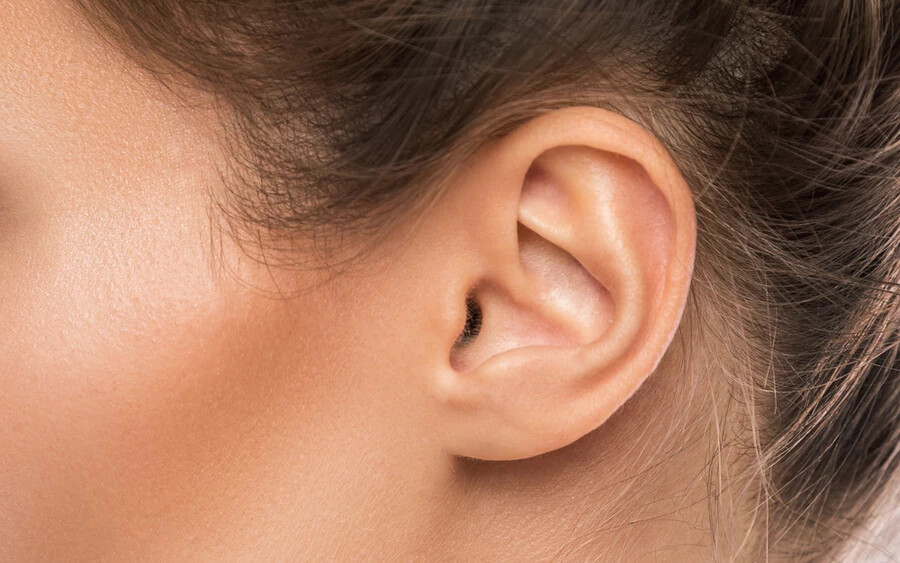 A fülcimpa fontos jel a kardiológusok számára. A Frank-jel, a fülcimpán található átlós barázda, amely a fülcsatornától hátrafelé, 45 fokos szögben húzódik a fülcimpa széléig, fontos jele annak, hogy az erek nem működnek megfelelően, és fennáll a sztrók vagy a szívroham veszélye.