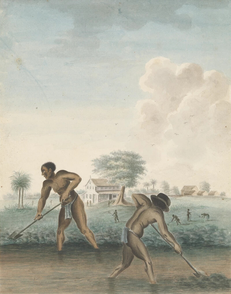 Ismeretlen festő műve – Rabszolgává tett ásó férfiak (kb. 1850), Rijksmuseum