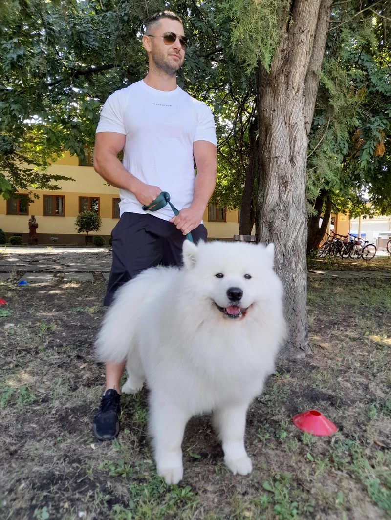 Volt, aki előző nap kutyakozmetikusnál is járt (a szerző felvétele)