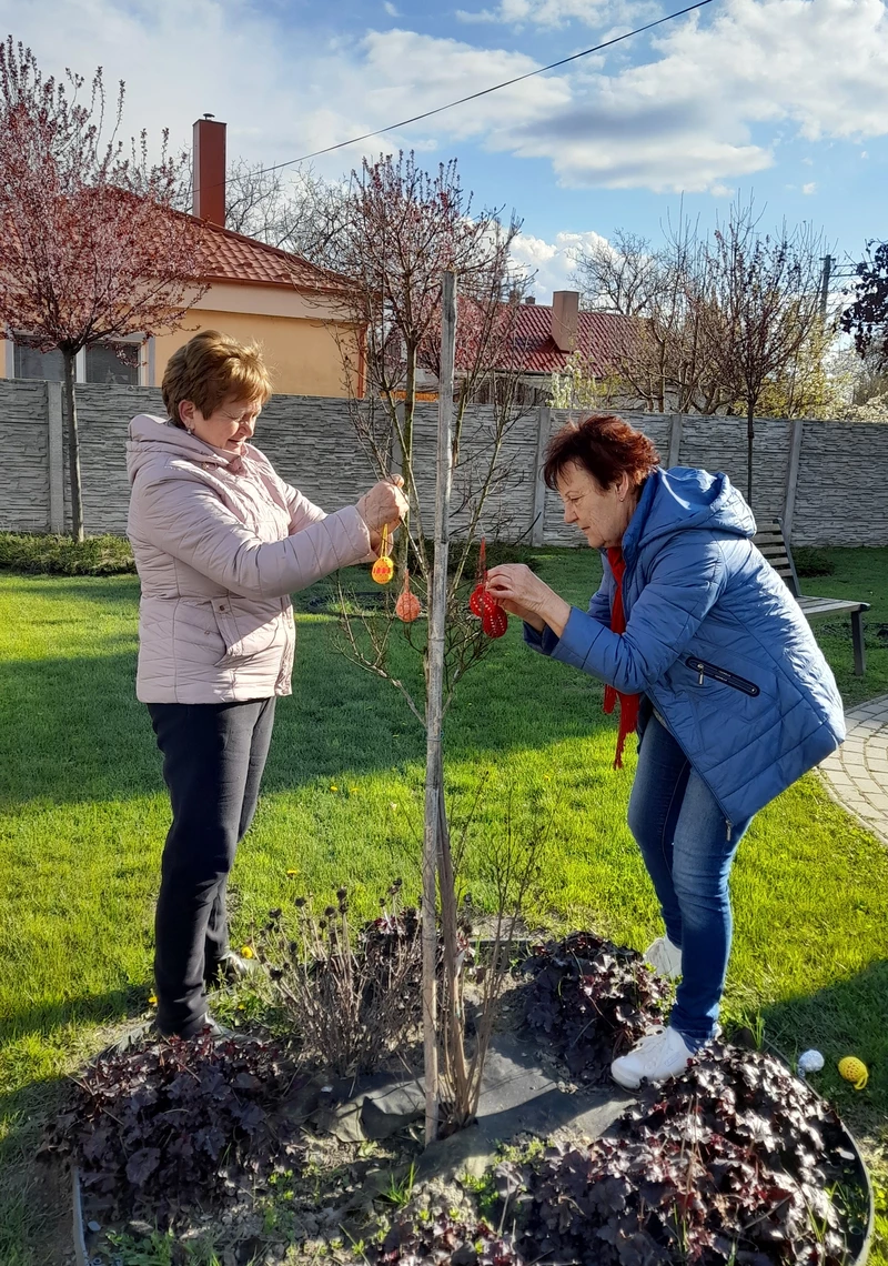 A változatos színű tojásokat vegyesen helyezték el a fákon (A szerző felvétele)