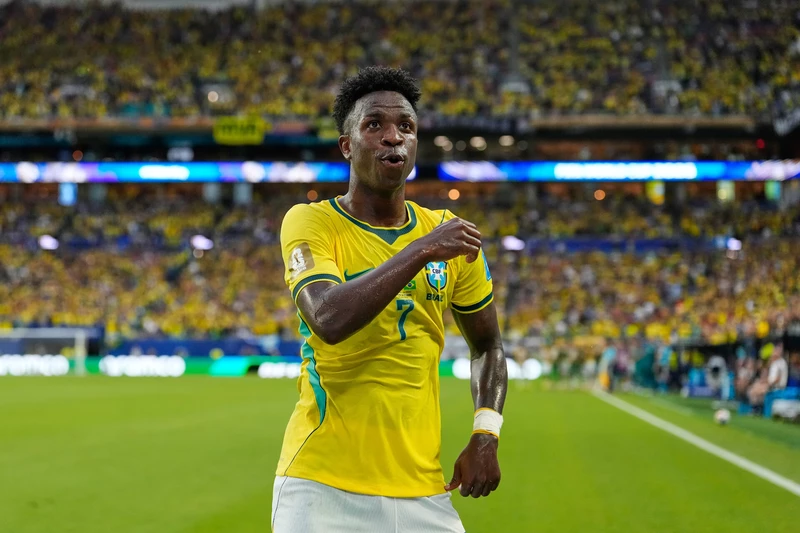Vini