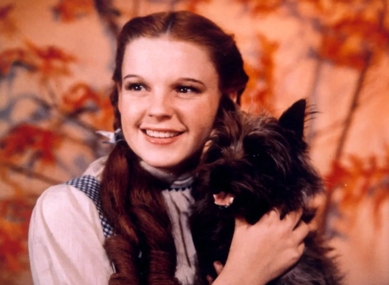 Judy Garland alakította Dorothy karakterét az 1939-es klasszikus filmben