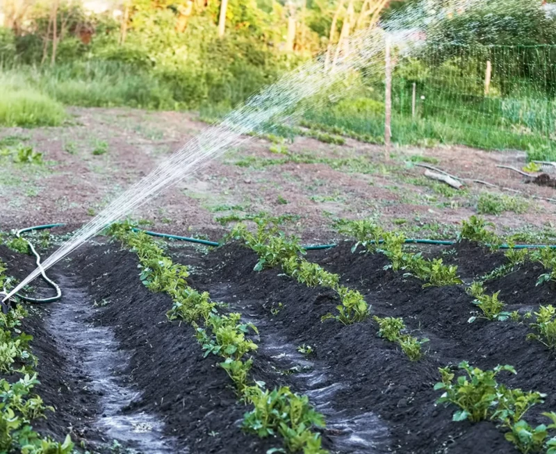 A megelőzés a leghatékonyabb védekezés 