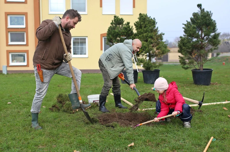 A lakótelep mellé fákat ültettek (OZ ViZia közösségi oldala) 