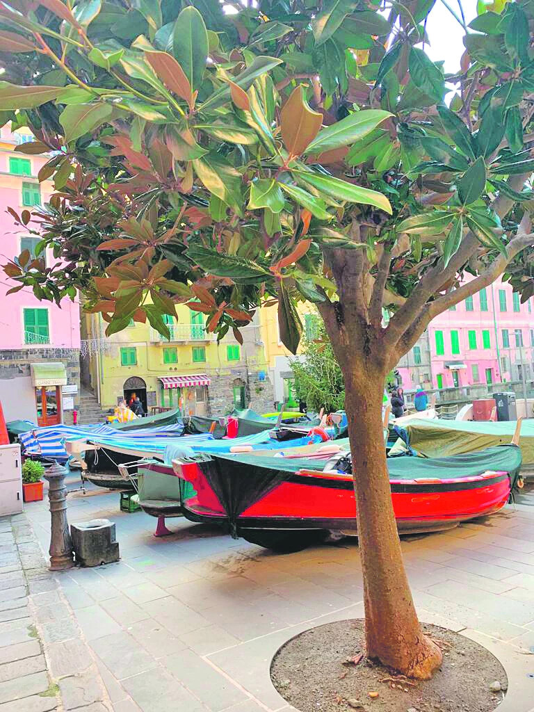 Autók helyett csónakok parkolnak a téren Vernazzában is.
