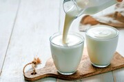 Acidofil tej: ez probiotikummal dúsított tehéntejről van szó. Alacsonyabb laktóztartalma miatt a laktózérzékenyek számára is alkalmas lehet – de ez az érzékenység mértékétől függ. -9